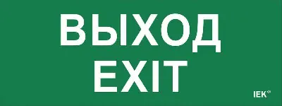 Этикетка самоклеящаяся "Выход-EXIT" ДПА IP20/54 IEK LPC10-1-24-09-VYHD