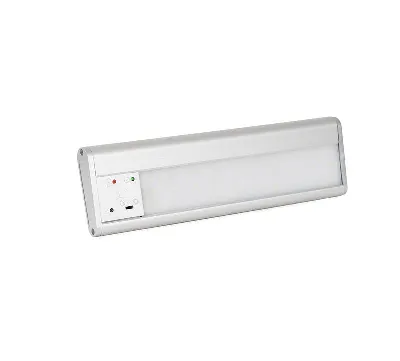 Светильник аварийный SKAT LT-2330 LED Бастион 2450