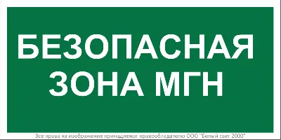 Знак безопасности BL-2010B.E68"Безопасная зона для МГН" Белый свет a18340
